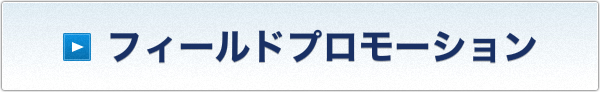 フィールドプロモーション