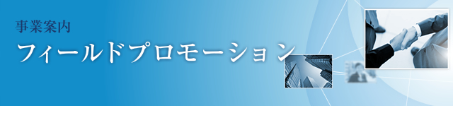 フィールドプロモーション