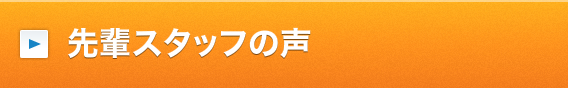 先輩スタッフの声