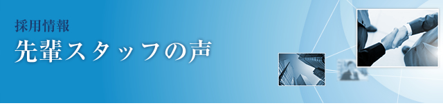 先輩スタッフの声